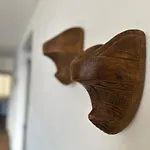 Blackbird Pioneros